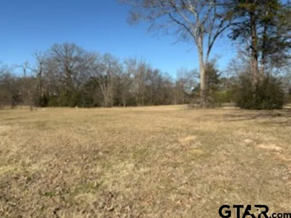 0 State Highway 314, Van, TX 75790