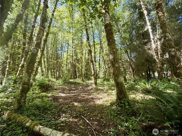 292 Sportmans Club Road, Forks, WA 98331