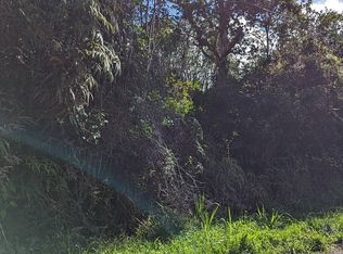 Puna Wai Ave, Mountain View, HI 96771