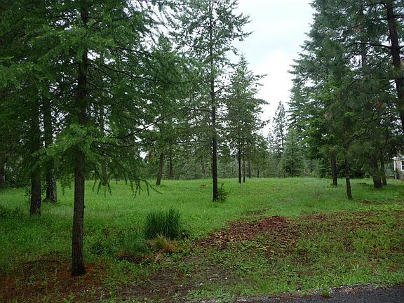 2nd image of Palmer Ln
