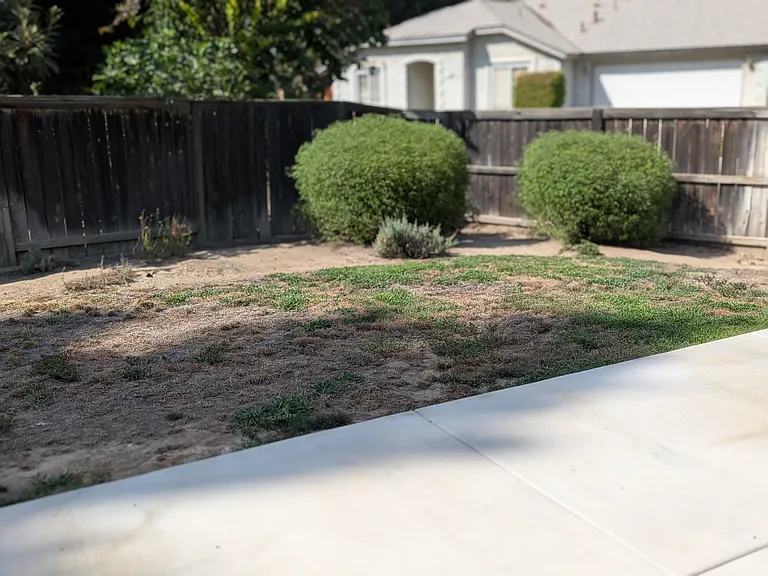 Please note that the lawn will be reseeded and brought back to life as soon as weather will allow.