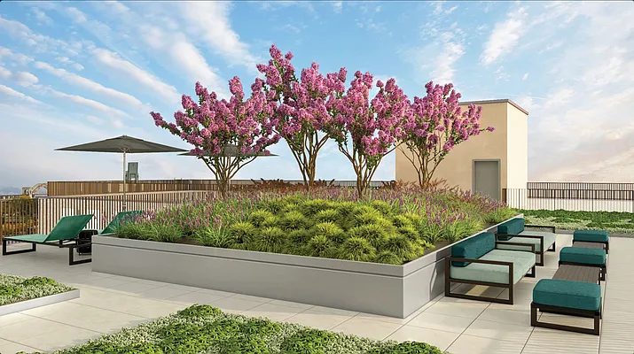 Rented by Douglas Elliman | media 9