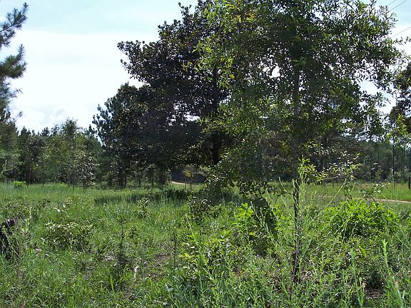 2nd image of CR 4515