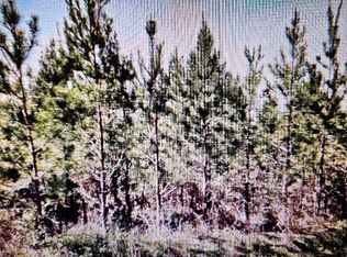 0 Old Vienna Rd, Elko, GA 31025