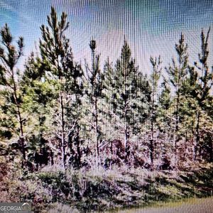 0 Old Vienna Rd, Elko, GA, 31025