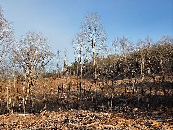 2nd image of Vacant Land Pole Running Rd