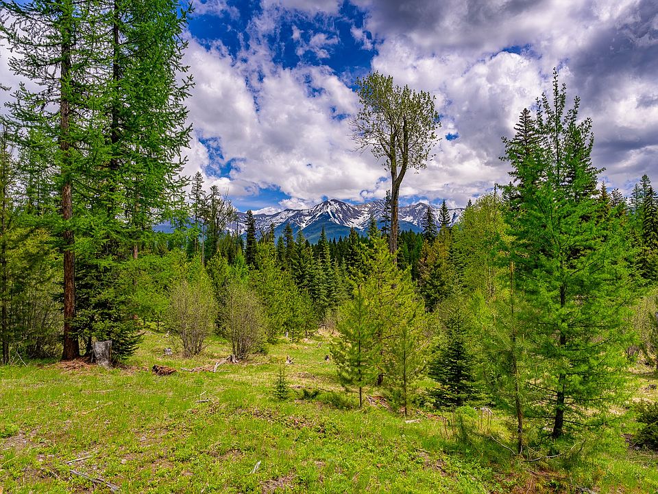 Nhn Styler, Condon, MT 59826 Zillow