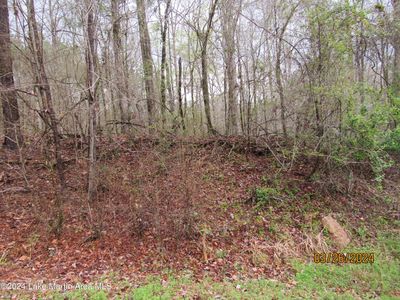 Old Hickory Rd, Alexander City, AL, 35010