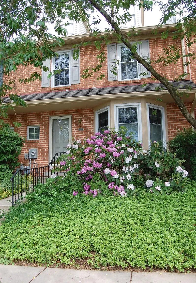 4 bed, 2.5 bath, 2354 sqft, $2,900 — Photo 2