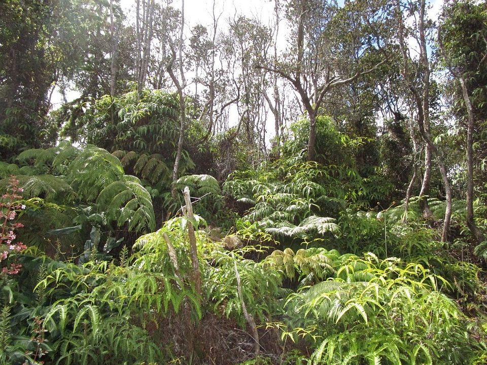 1st image of Nahelenani St Lot 53-B