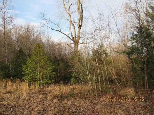 County Route 26.1 Rd, Flatwoods, WV 26621