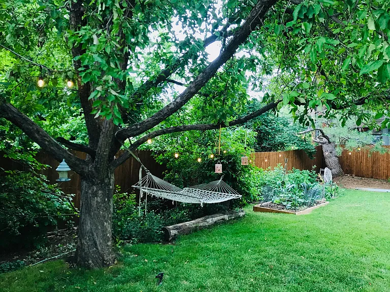 Sun filtered through foliage all day long in the hammock