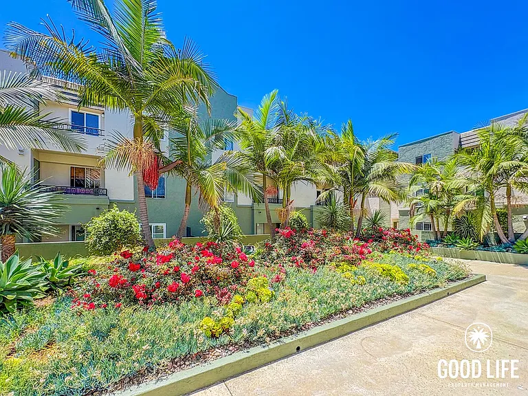 3440 Lebon Dr #4118 — Photo 19