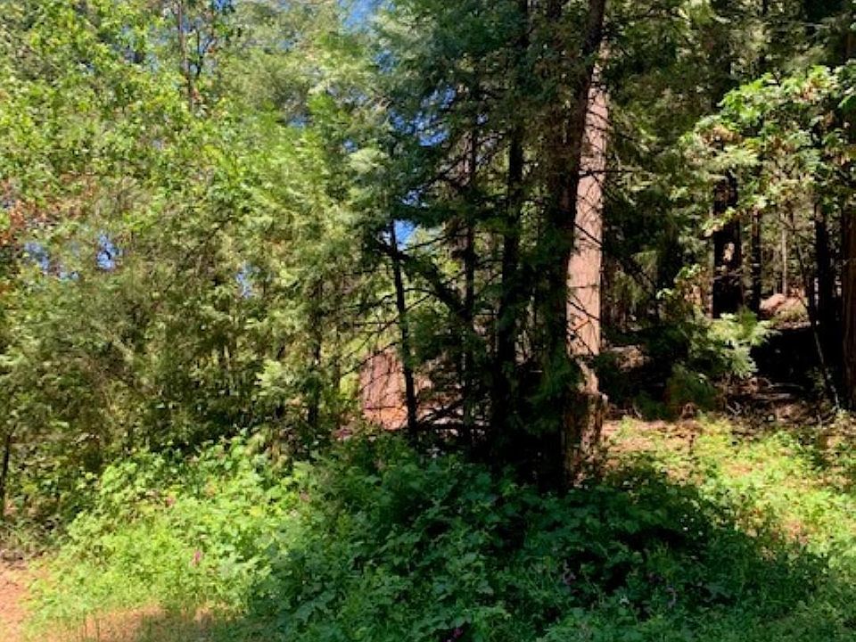 2nd image of LOT 12 Woodwardia Rd