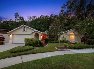 3663 Rusty Grackle Dr, Palm Harbor, FL 34683