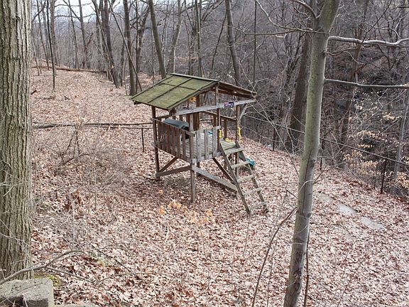 2nd Tier of Back yard