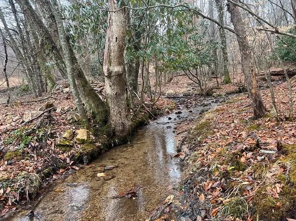 Parkstone Way, Galax, VA 24333