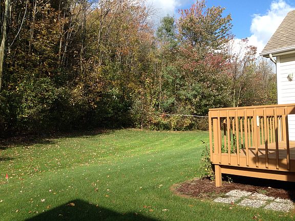 Rear Secluded Yard