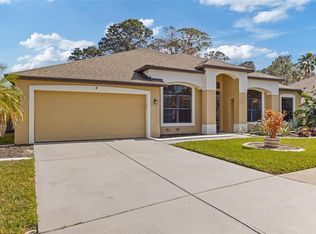 10918 Rain Lilly Pass, Land O Lakes, FL 34638