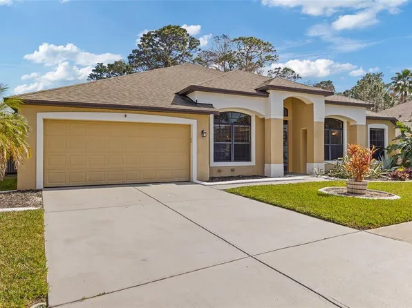 10918 RAIN LILLY PASS, LAND O LAKES, FL 34638