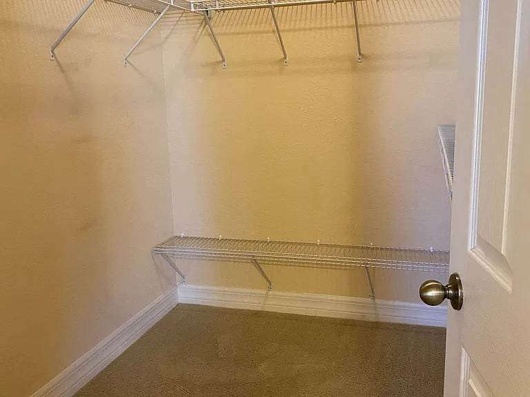 Primary Walk-in Closet