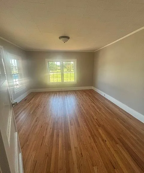 4585 Plain View Hwy — Photo 5
