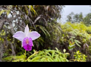 Lelehuna Rd LOT 25, Volcano, HI 96785