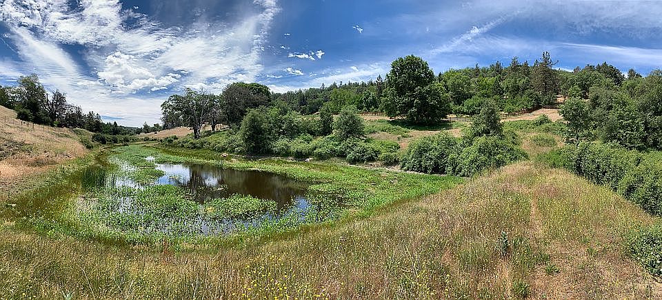 Piney Wood Farm