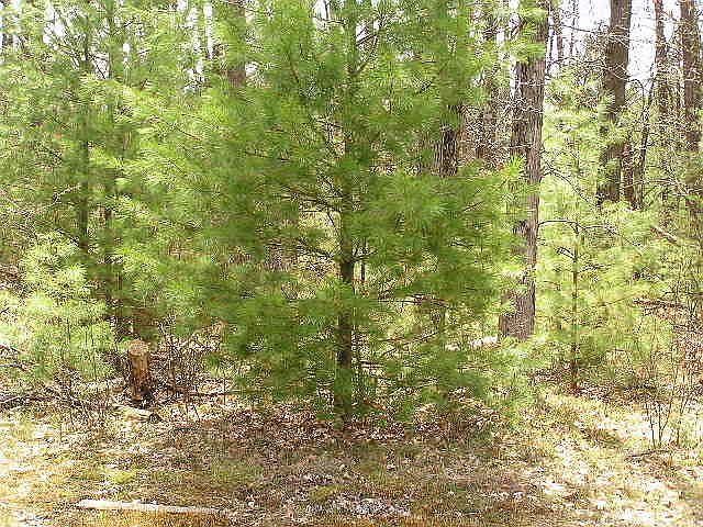 2nd image of Lots Heritage Ridge Ests