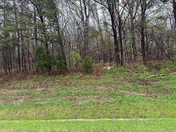 0 Rhea County Hwy, Evensville, TN 37332