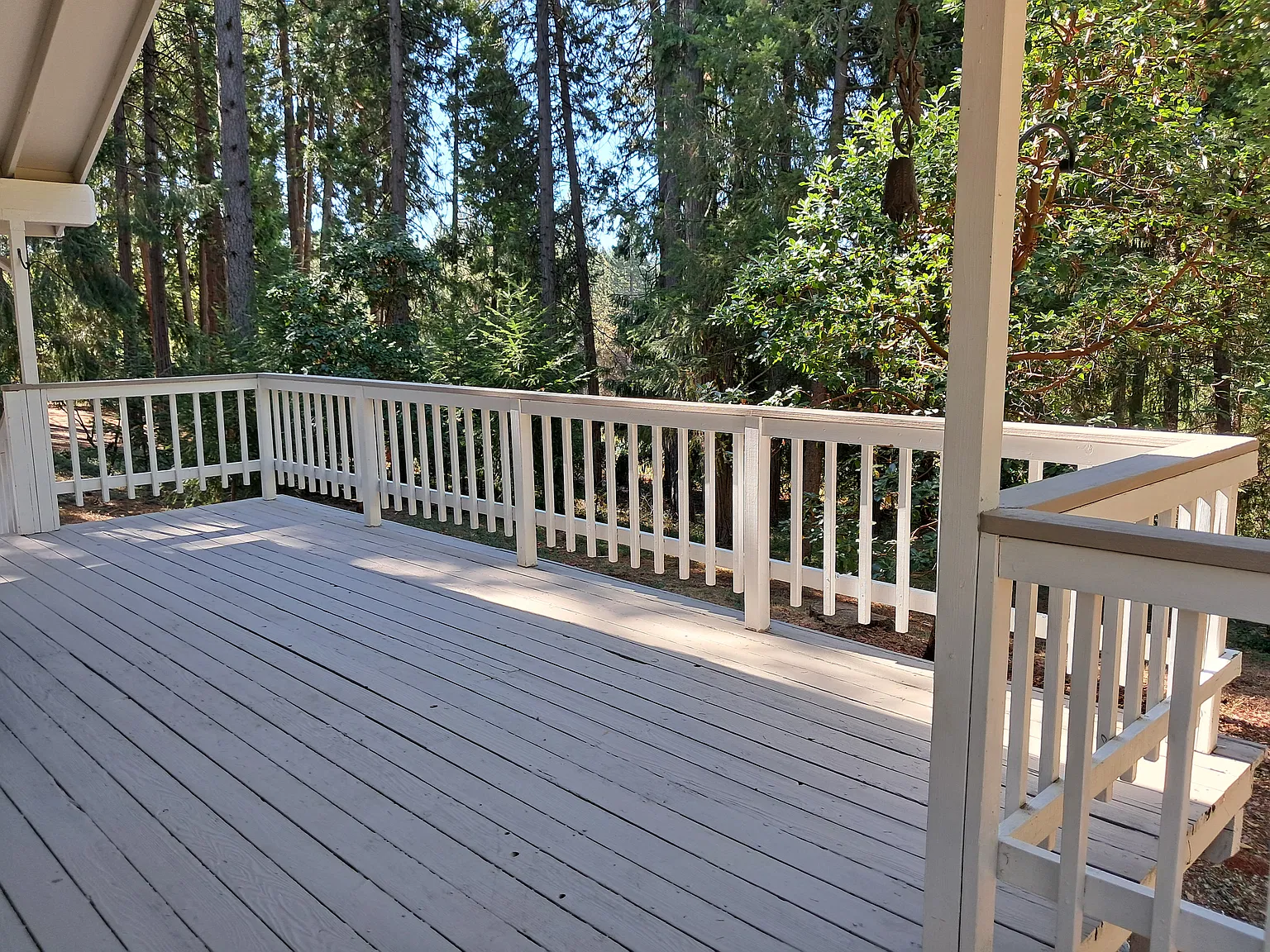 1 bed, 900 sqft, $2,200 — Photo 4