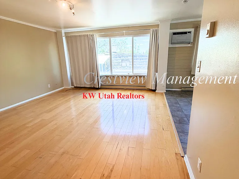 511 E 1st Ave #403 — Photo 3