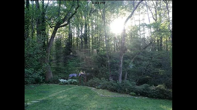 1448 Fama Dr NE — Photo 4