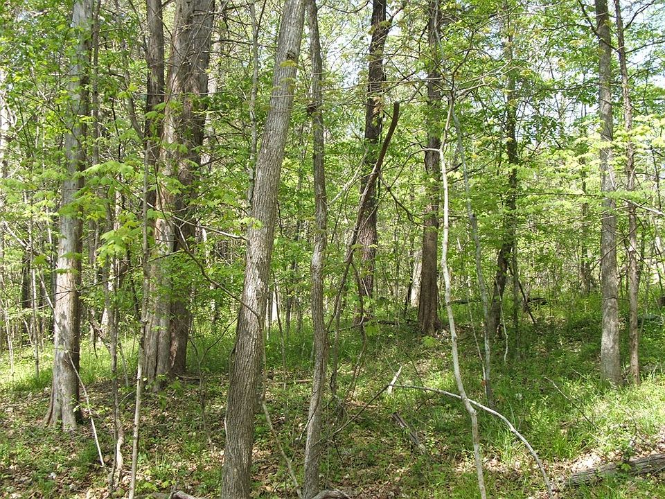 2nd image of 637 Saxkey Rd