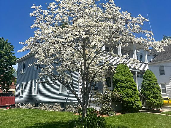 5th image of 48 Dewey Street