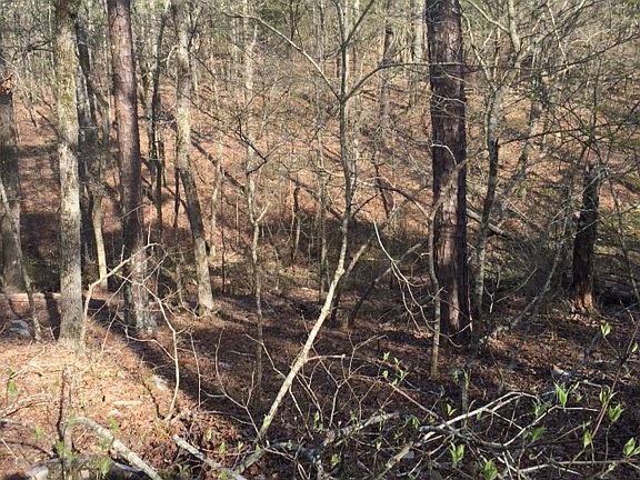 2nd image of 1000 South Hwy 271