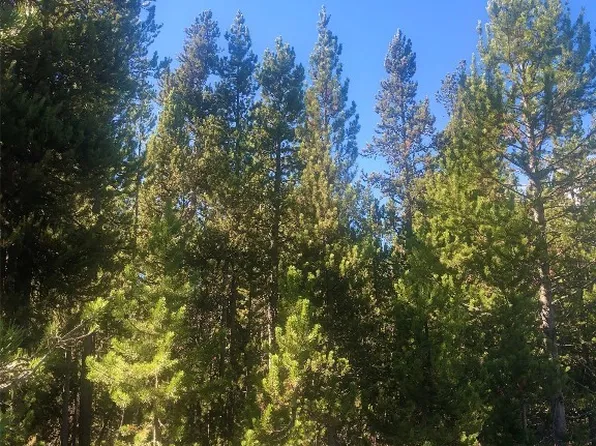 524 Gallatin Ave, West Yellowstone, MT 59758