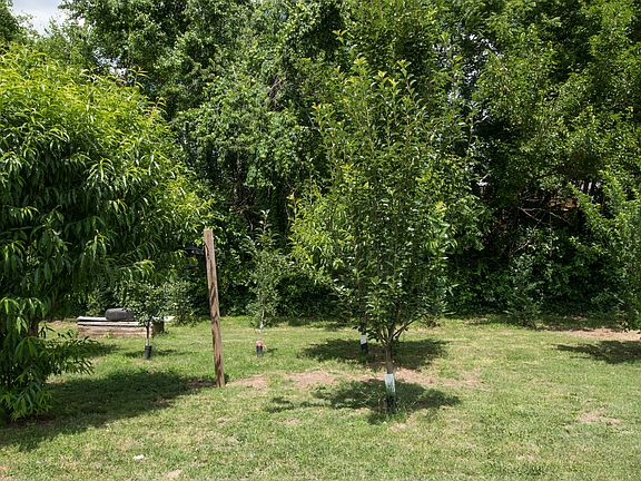 Peach, Apple & Pears, oh my!