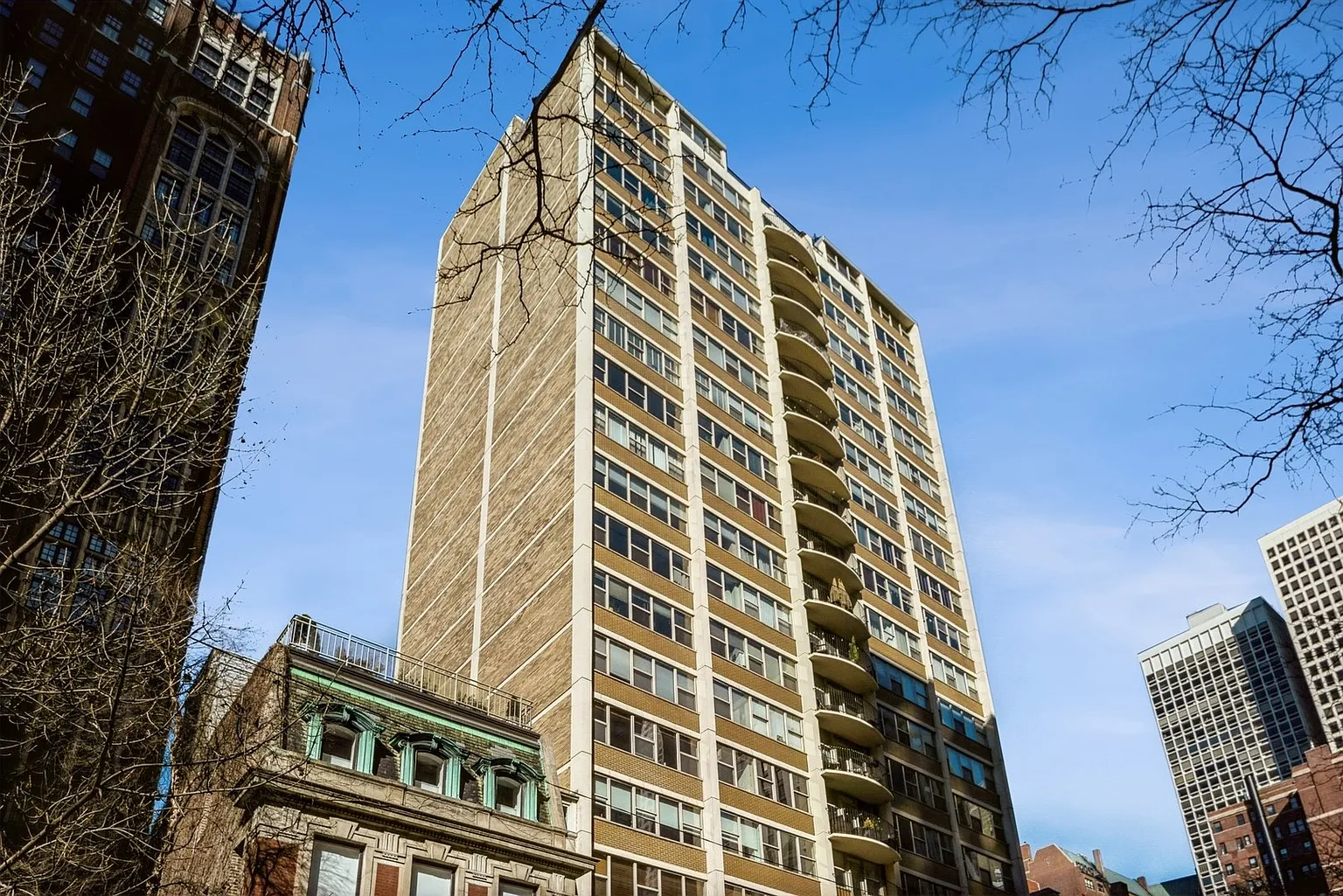 40 E Cedar St APT 11A photo 1