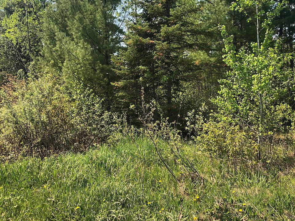 2nd image of PARCEL 008001990200 Holmes Rd