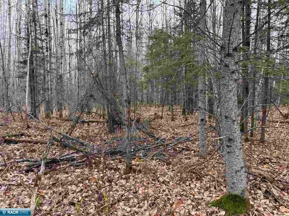 Shannon Lake Rd, Side Lake, MN 55781