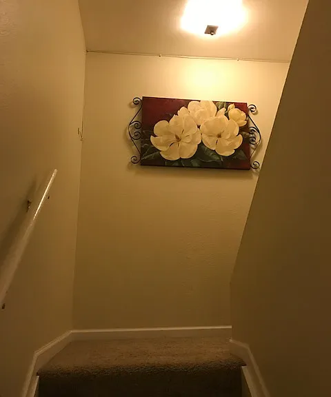 754 S Youngfield Ct #BASEMENT — Photo 4