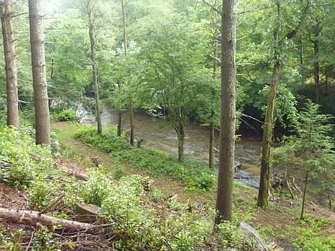5th image of 142 Fireside River Trce W