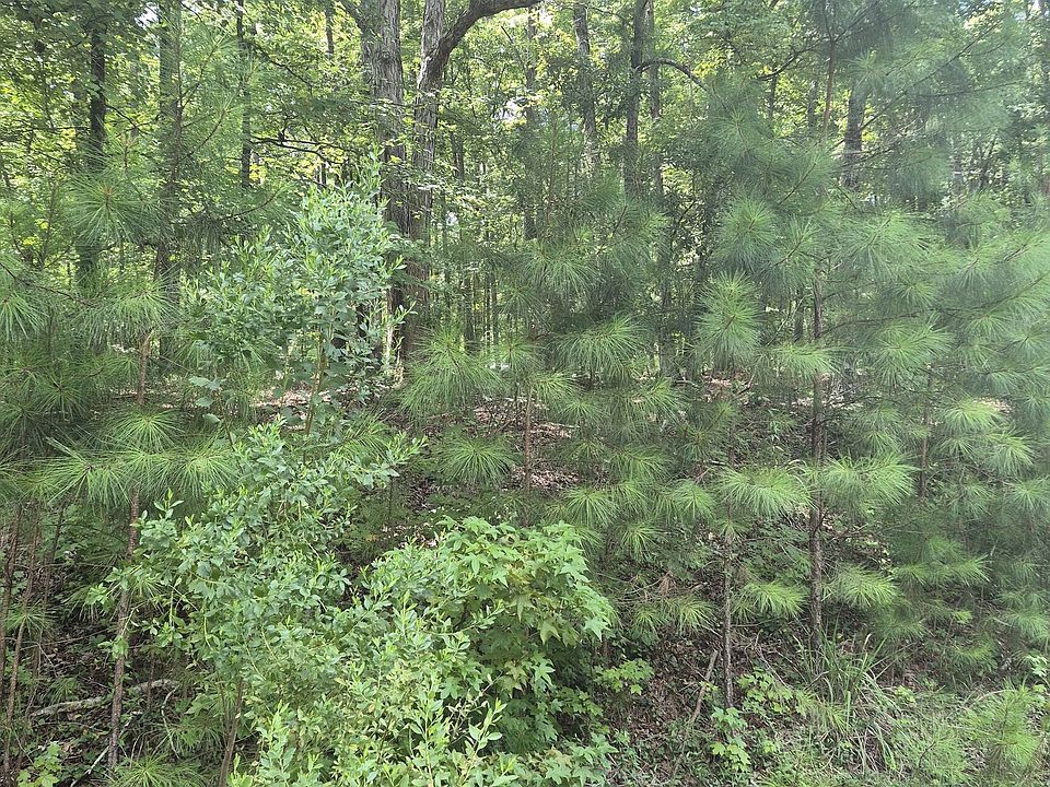 1st image of 441 S Steel Bridge Rd