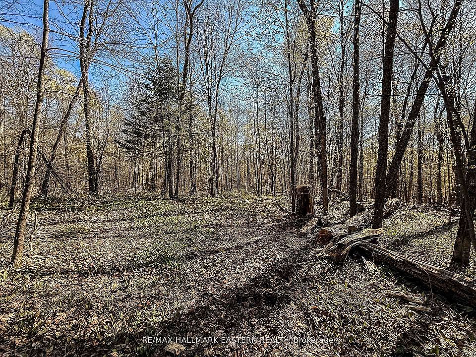 1st image of 2494 Hadlington Rd