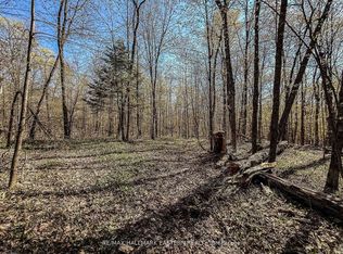 2494 Hadlington Rd, Highlands East, ON K0L2Y0