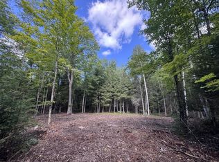 W5700 Pinewood Dr, Niagara, WI 54151