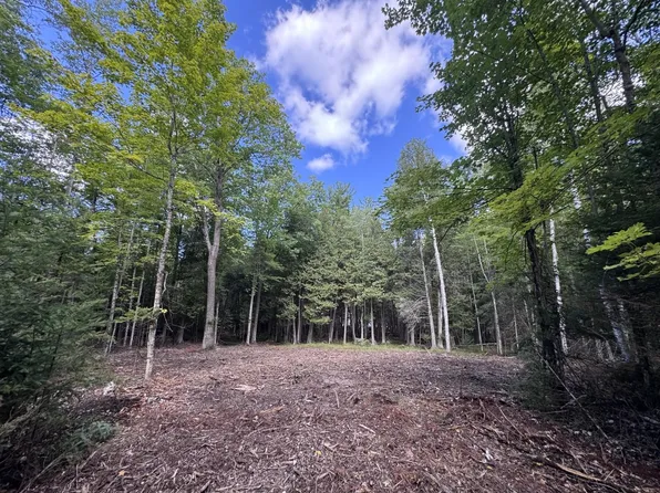 W5700 Pinewood Dr, Niagara, WI 54151