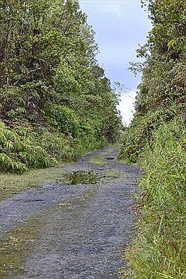 5th image of Mikana St Lot 49