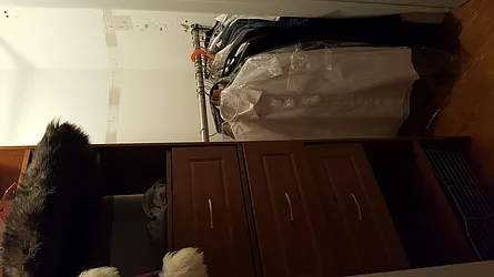 Rented by Joseph T Bruno, LREB